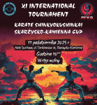 XI INTERNATIONAL TOURNAMENT KARATE SHINKYOKUSHINKAI SKARŻYSKO-KAMIENNA CUP