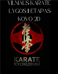 Vilniaus Karate Lyga II etapas